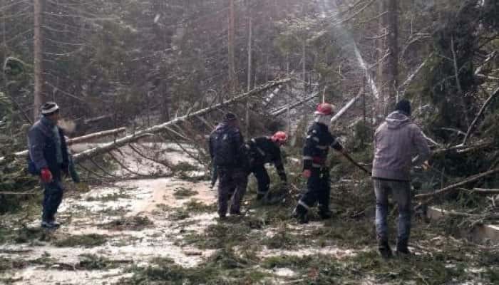 VIDEO - Drumul spre Cabana Dichiu este blocat de copaci doborâți de vânt. Intervin pompierii prahoveni