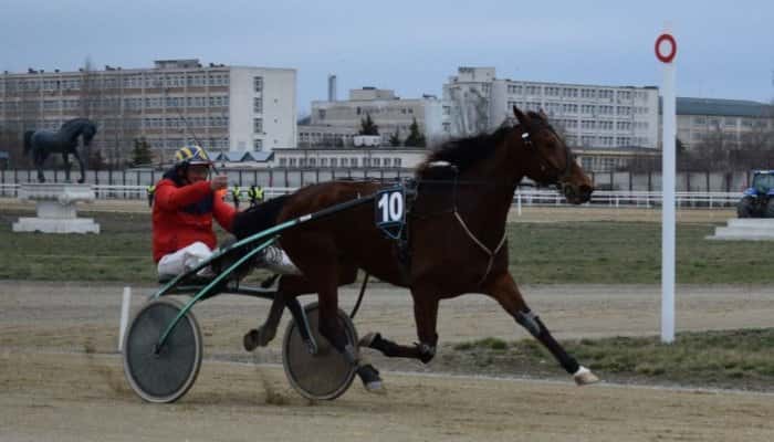 Fine Boko a câștigat Premiul de Deschidere