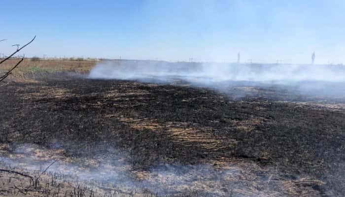 Poluare masivă în Bucureşti, după ce un incendiu de vegetaţie s-a întins la o fostă fermă