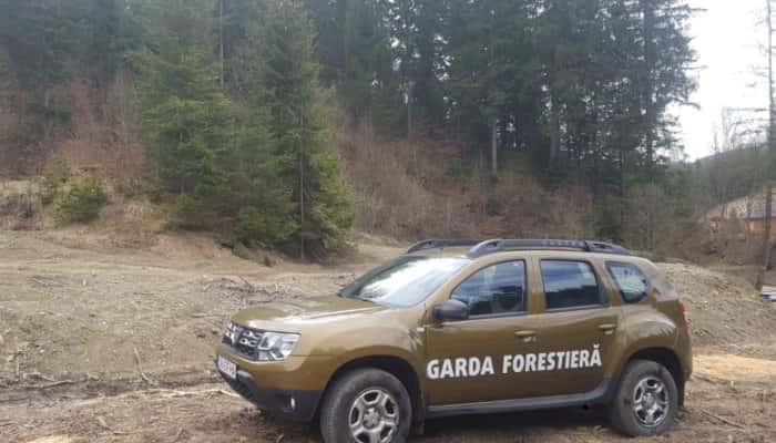 Nici focarul de COVID-19 nu-i opreşte. Noi tăieri ilegale de arbori, descoperite în Suceava