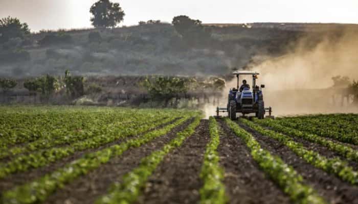 MMPS: Autorităţile germane vor intensifica controalele la angajatorii unde lucrează muncitori români