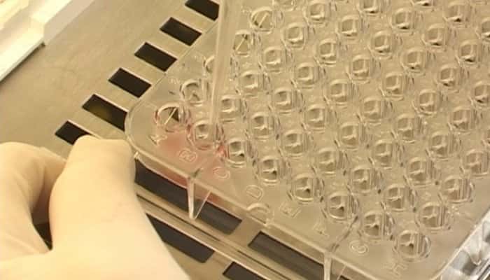 CORONAVIRUS | Prahova are, în continuare, peste 550 de cazuri active. Cinci focare confirmate în județ, în ultima săptămână