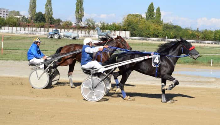 Hermina VF a câștigat Premiul Agriculturii