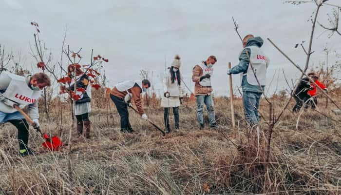 FOTO | Plantare de copaci în spatele Rafinăriei Petrotel-Lukoil Ploieşti, la fosta groapă de gunoi a oraşului