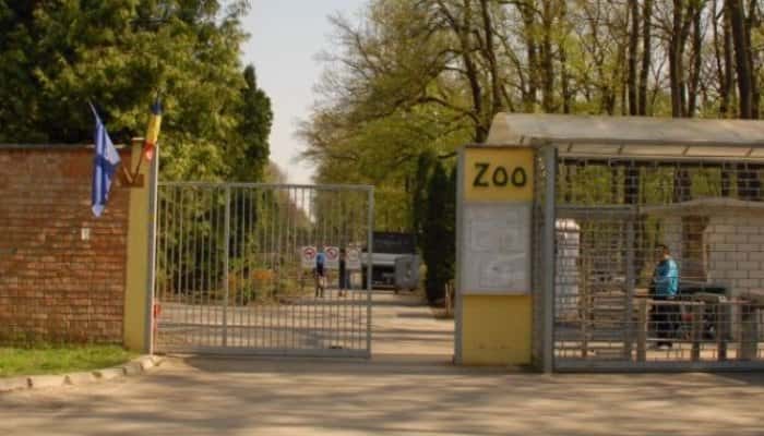 Grădina Zoologică din Timișoara a fost închisă pe perioadă nedeterminată