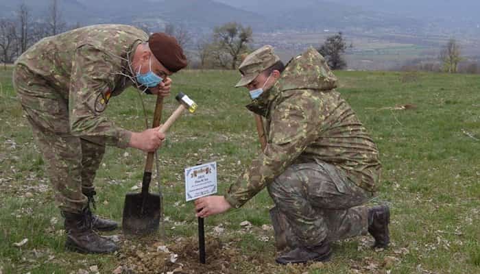 Parcele de pădure, cu nume de eroi, înființate de militarii din Buzău