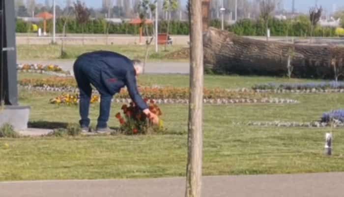 VIDEO | La cules de flori, într-un parc din Ploiești. Reacția oamenilor la imaginile apărute în spațiul public