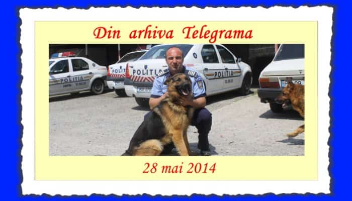 DIN ARHIVA TELEGRAMA | Arma secretă a poliţiştilor prahoveni