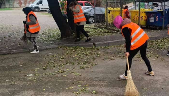 maturatori rosal ploiesti