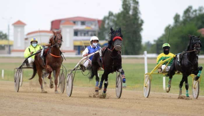 hipodromul ploiesti curse trap