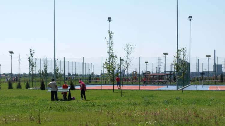 Perdele forestiere la Parcul Municipal Vest din Ploieşti