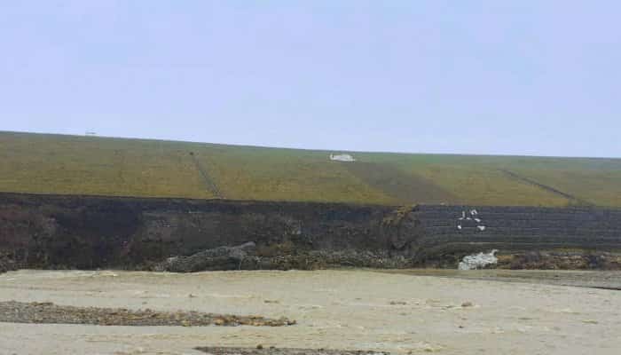 VOLUNTARIAT | 31 de hectare de teren vor fi împădurite, la fosta groapă de gunoi din Ploieşti