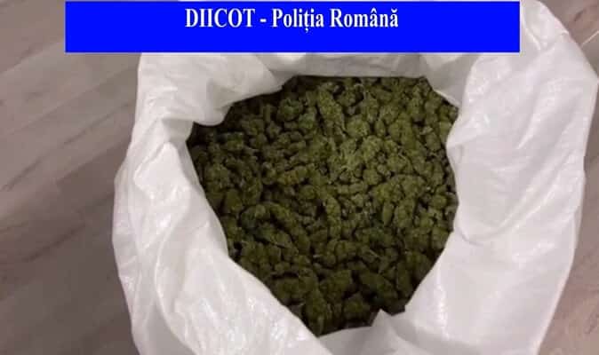 “Importatori” de droguri reținuți de DIICOT (video)