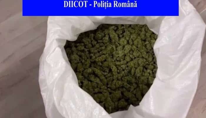 “Importatori” de droguri reținuți de DIICOT (video)