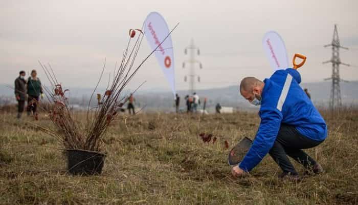 Peste 13.000 de puieți sădiți în Prahova, în cadrul proiectului Rompetrol “Plantăm fapte bune în România”