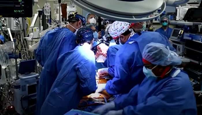 VIDEO Premieră mondială. Inima unui porc, transplantată cu succes unui bărbat de 57 de ani