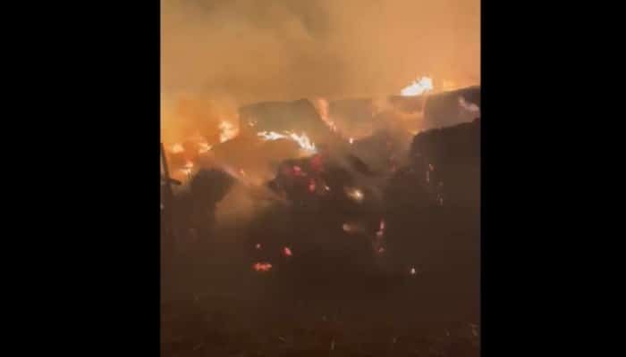 VIDEO Incendiu stins după o intervenție de 16 ore, în județul Prahova