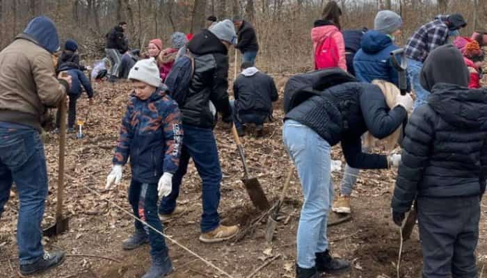 600 de stejari au fost plantaţi de copii, sâmbătă, în Păuleşti | FOTO