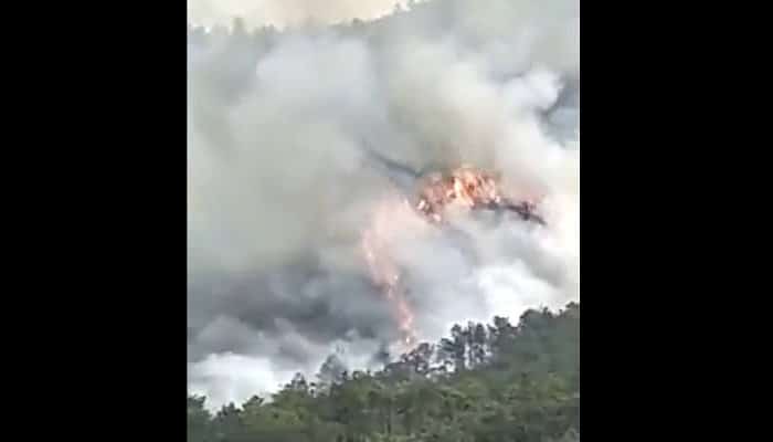 VIDEO Un avion cu 132 de oameni la bord s-a prăbușit în China. Incendiu uriaș la locul tragediei