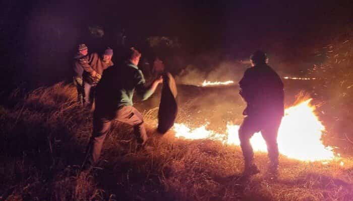 VIDEO Incendiu pe 80 de hectare, la Tătaru: “Munca noastră de atâția ani s-a dus în câteva ore. Am izolat casele cum am putut, să nu ia și ele foc”