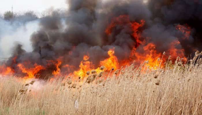 Constanţa: Peste 76 hectare de teren cu vegetaţie uscată au fost cuprinse de flăcări în ultimele 24 de ore