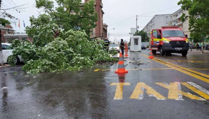 FOTO | O femeie a fost rănită şi o maşină avariată, după ce un copac a căzut, în centrul Ploieştiului