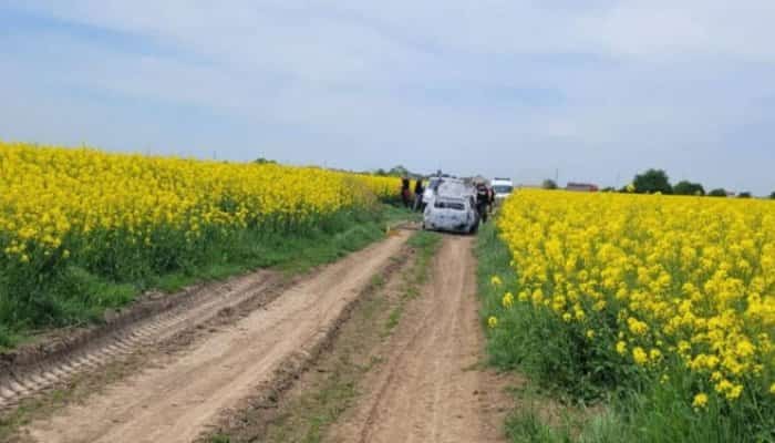 Cadavru tranşat, descoperit în portbagajul unei maşini incendiate, în Ilfov