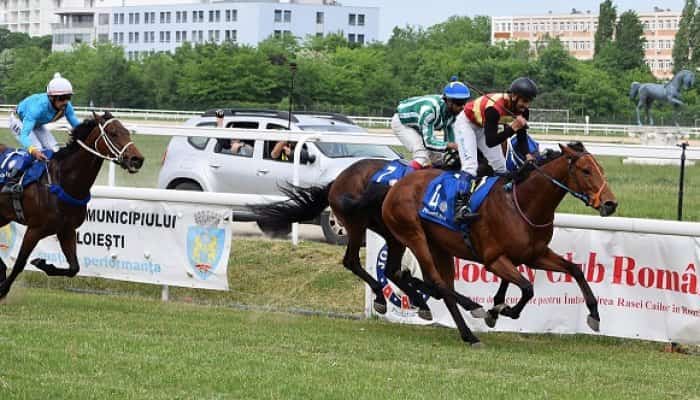 Armăsarul Ariham a câștigat Premiul  ”Alexandru Marghiloman”