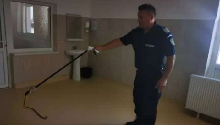 VIDEO | Şarpe găsit de un pacient într-un spital din România