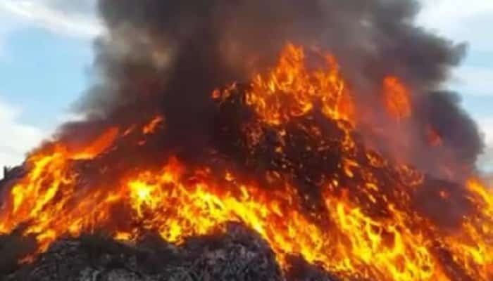 incendiu gunoi băicoi