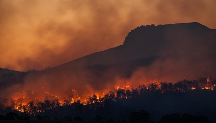 Incendiile se extind în Franţa, Spania, Croaţia şi Grecia. Peste 14.000 de francezi din sud-vestul ţării au fost evacuaţi