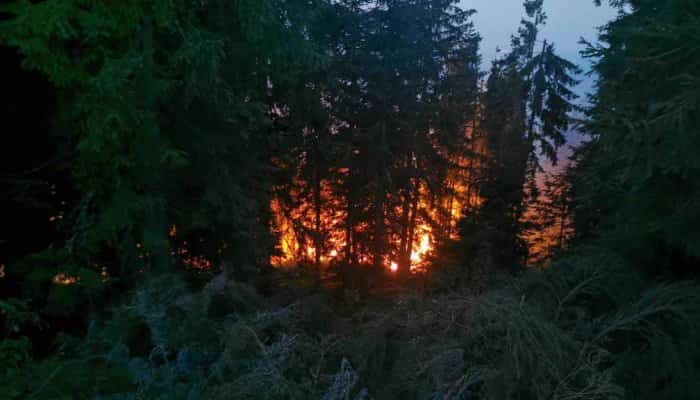 Incendiul de pădure din Apuseni. Intervin zeci de pompieri, alături de voluntari, pădurari și soldați