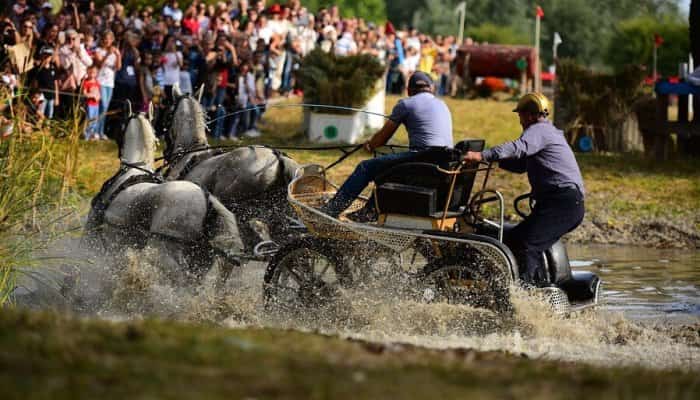 Karpatia Horse Show