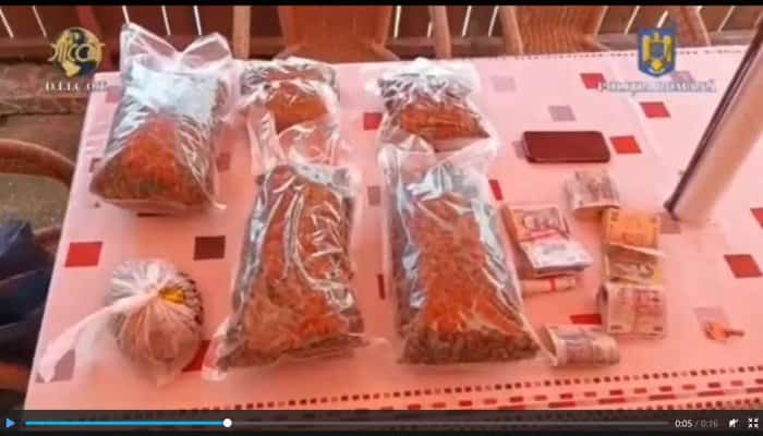 Cinci persoane au fost arestate preventiv după ce au înfiinţat o cultură de canabis şi au vândut peste nouă kilograme de droguri