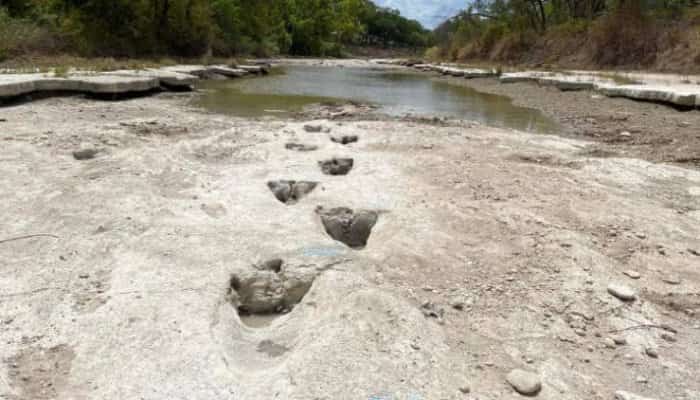 Urme de dinozauri vechi de milioane de ani, descoperite în SUA în urma secetei