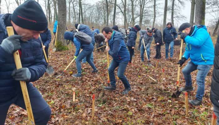 VIDEO | Ludovic Orban a ajuns astăzi în pădurea Sicrita din Prahova, unde au fost plantaţi 1.500 de puieţi de stejar, la iniţiativa deputatului George Ionescu