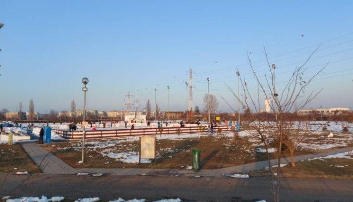 Parteneriat cu un ONG pentru împăduriri în Parcul Municipal Vest