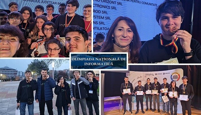 lot național olimpiada nationala de informatică