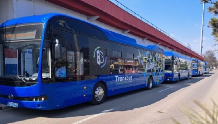 șofer autobuze buzău