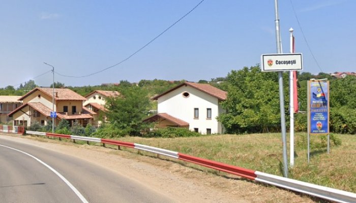 parc tematic cocoșești păulești