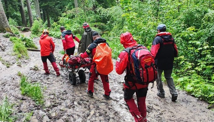 accident urlatoarea bucegi