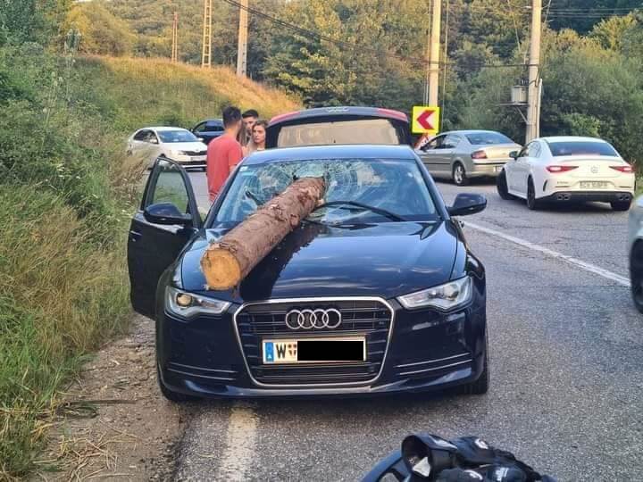 accident parbriz tir lemne brașov