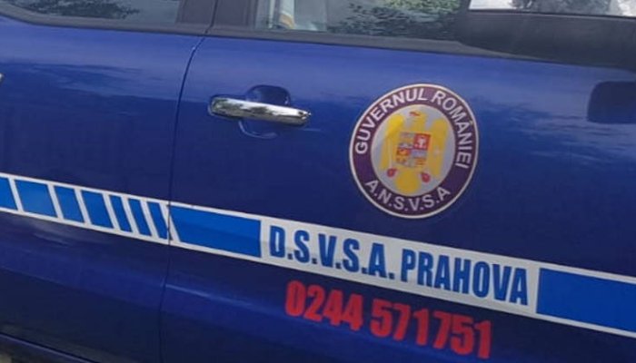 În Prahova sunt aproape 2.000 de vulpi. DSV începe campania de vaccinare antirabică, din avion