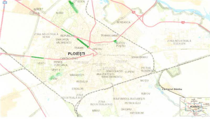 copaci ploiești ploiesti plantari