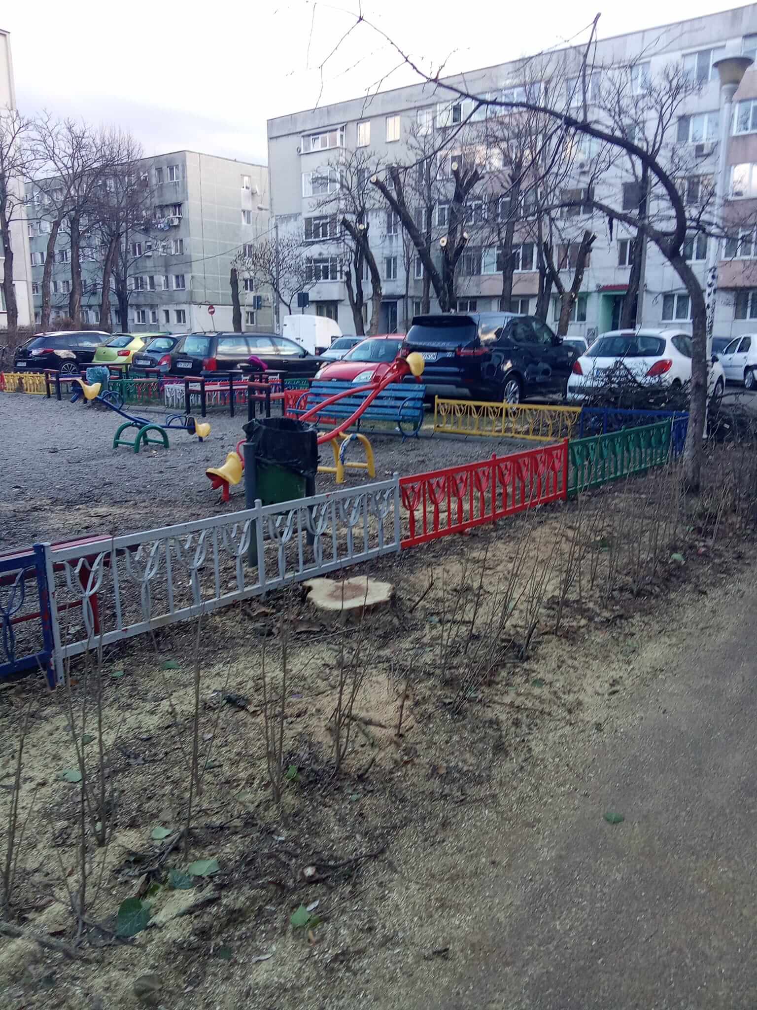 copaci tăiați sgu ploiești