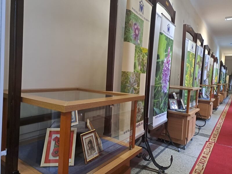 expozitii muzeul de stiințe in luna martie