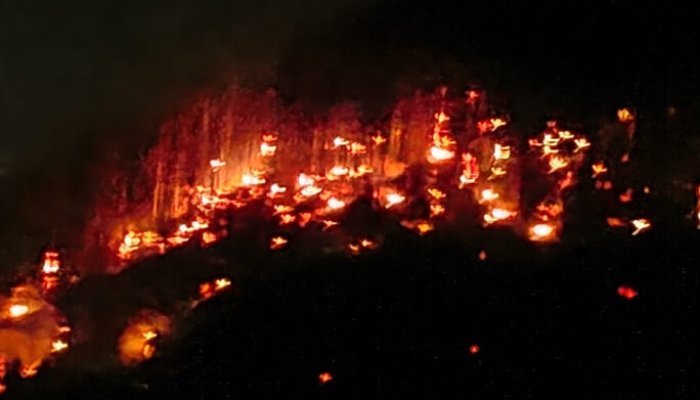 incendiu vegetație brașov fagaras