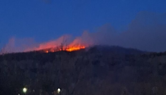 incendiu pădure slănic