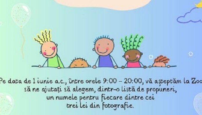 De 1 Iunie, copiii sunt invitați să le găsească nume leilor de la Zoo Bucov