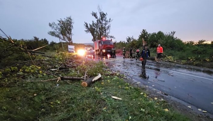 UPDATE. Intervenții pe DN1 și în 18 localități din Prahova, după furtuna de cod portocaliu de marți seară